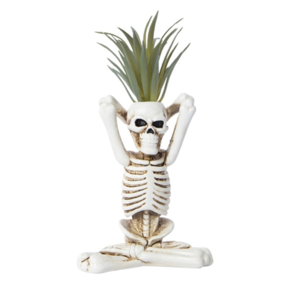 Yoga skeleton succulent decor